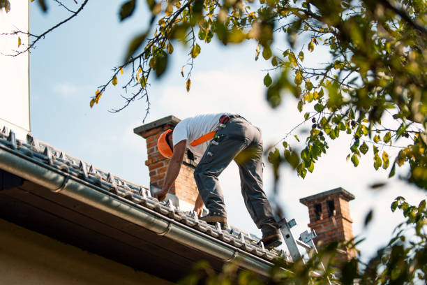 Best Roof Replacement Cost  in Resaca, GA