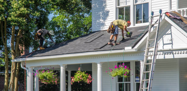 Roof Gutter Cleaning in Resaca, GA
